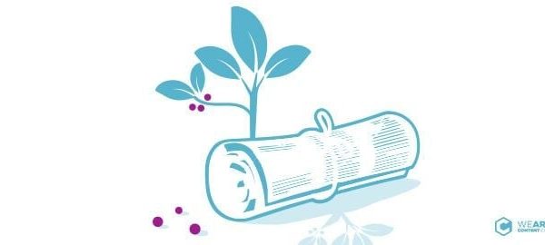 Conoce la regla 80-20 del contenido