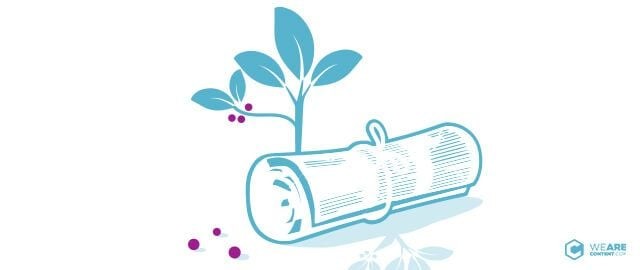 Conoce la regla 80-20 del contenido