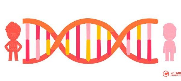 ¿Qué son el Lead Nurturing y Lead Scoring?