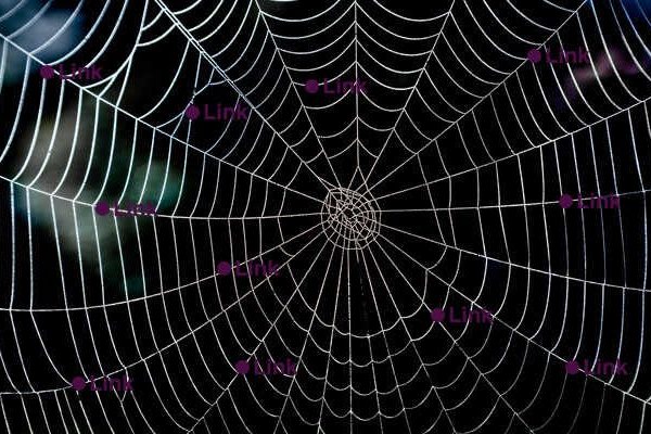 Hipervínculos: potenciarlos al máximo | WeAreContent