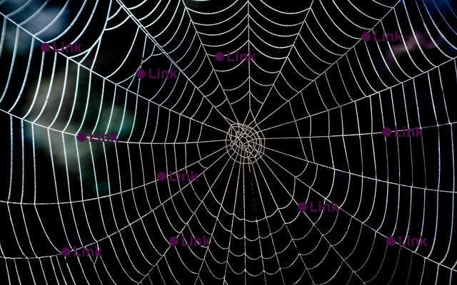 Hipervínculos: potenciarlos al máximo | WeAreContent