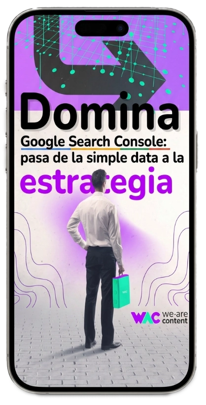 ebook domina google search console 4